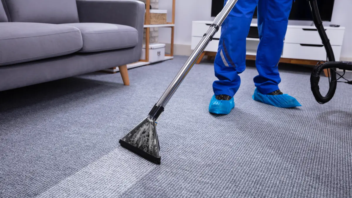 Full Home Cleaning