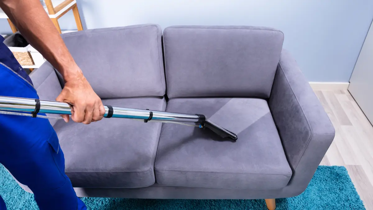 Full Home Cleaning