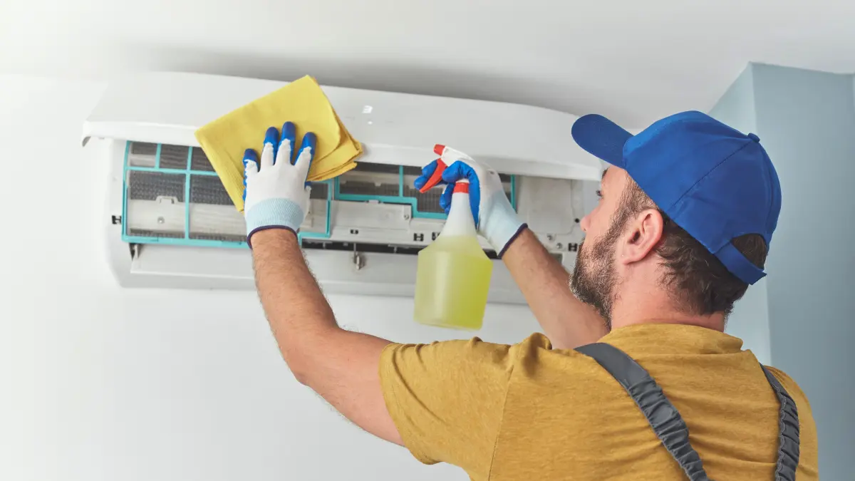 Full Home Cleaning